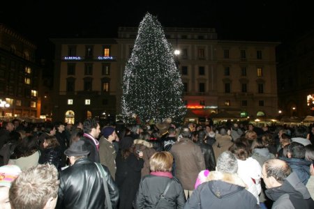 albero3.jpg