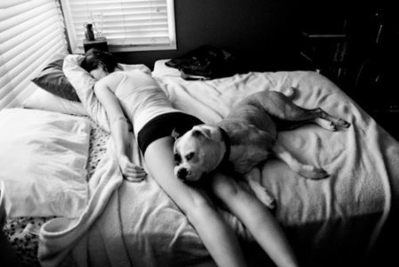 bed,black,,,white,dog,girl,passed,out,animal-1e0d7870cd445824859817ee203b316b_h.jpg
