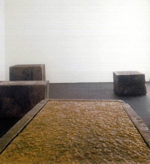 Joseph-Beuys.-Difesa-della-Natura.jpg