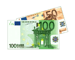 150-euros.gif