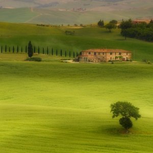 Bella Toscana 9.jpg