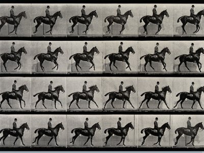 43221-A_cantering_horse_and_rider_Eadweard_Muybridge_1887.jpg