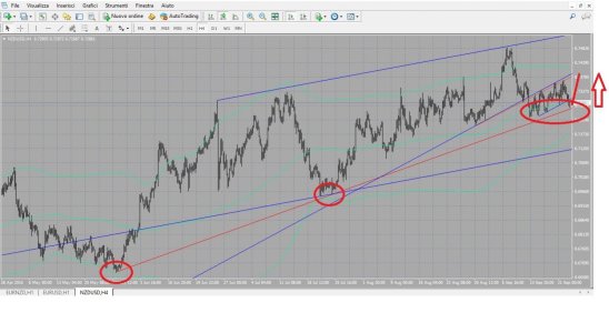 nzdusd.jpg