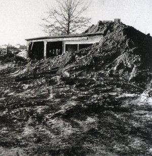 Robert Smithson Partially Buried Woodshed, 1970.jpg