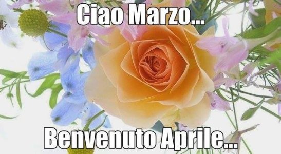 ciao Marzo.jpg