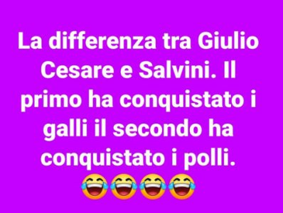 Salvinipolli.jpg