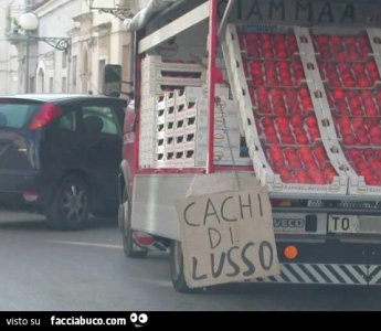 dyl1twsaqt-cachi-di-lusso-venditore-con-camion-pieno-di-loti_a.jpg