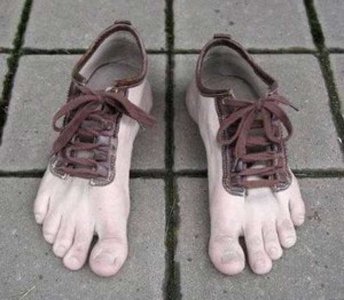scarpa-con-stringa.jpg