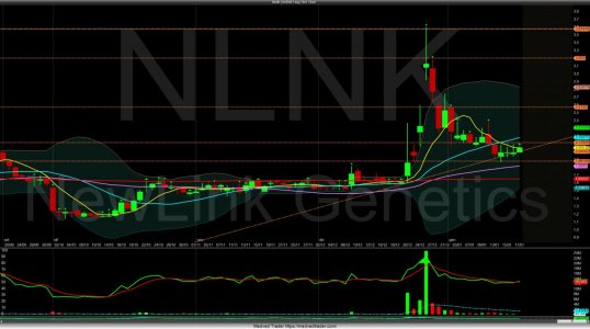 Chart_Hist_NLNK_2020-01-17-15_52_57.jpg