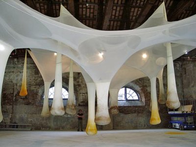 Ernesto Neto, 2001.jpg