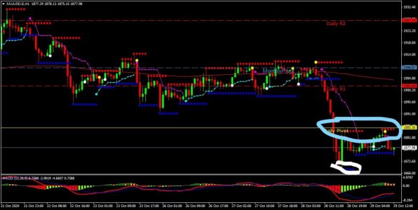 XAUUSD.EH1_LI.jpg