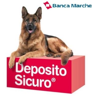 deposito_sicuro.jpg