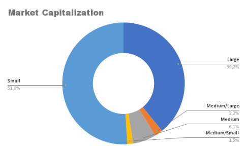 Market Capitalization.png