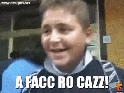 A-Facc-Ro-Cazz-GIF-e-MEME-Divertente-in-Dialetto-Napoletano-ESpressione-Tipica-di-un-Ragazzo-Con.jpg