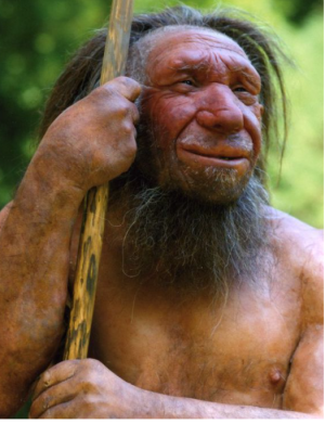 Neanderthal.png