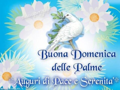 buona-domenica-delle-palme.jpg