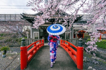 asian-woman-wearing-japanese-traditional-kimono-cherry-blossom-spring-kyoto-temple-japan_335224-.jpg