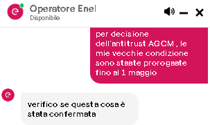 enel 1.png