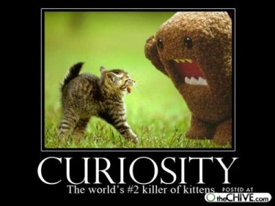 curiosity-the-worlds-2-killer-of-kittens.jpg