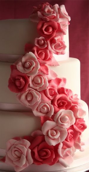 PinkCake-sugar-roses.jpg