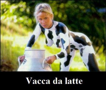 vacca da latte.jpg
