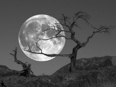 splendida-luna-in-bianco-e-nero.jpg