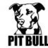 Pit bull
