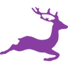 PurpleDeer